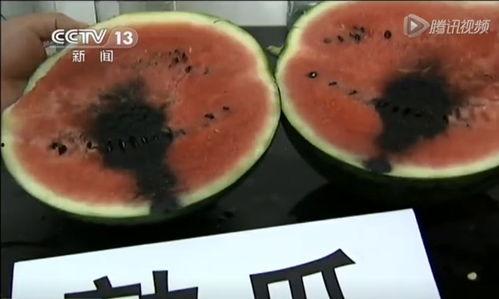 网上吃瓜的视频都是在哪看的,网上吃瓜视频的聚集地