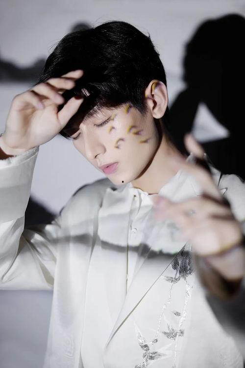 吃瓜娱乐圈成毅是谁的徒弟,揭秘娱乐圈新星成毅的师承之谜