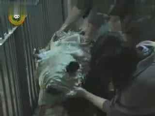 娱乐搞笑吃瓜视频合集